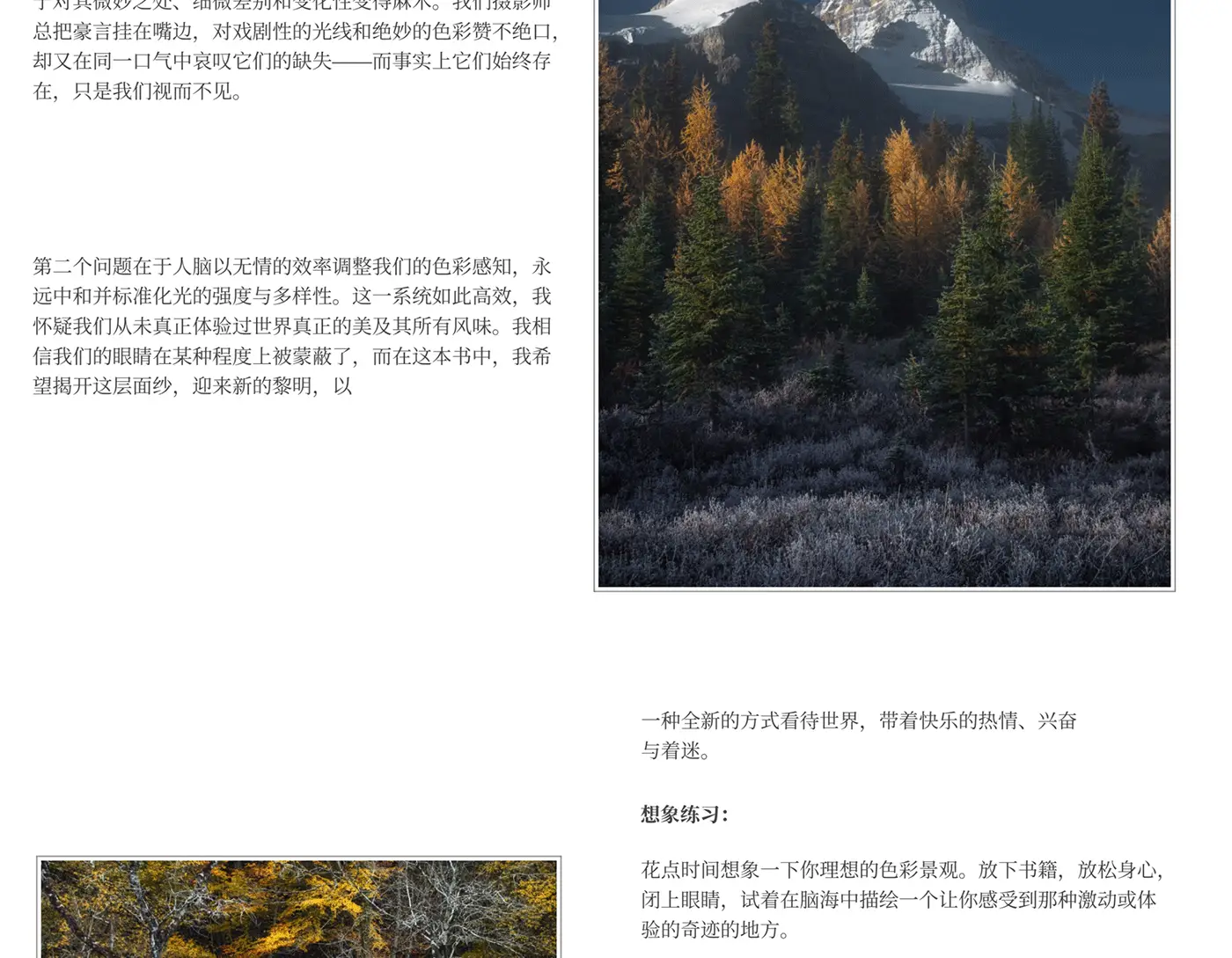 图片[5]-Alister Benn 了解风景摄影中意义的色彩电子书-精翻中文教程