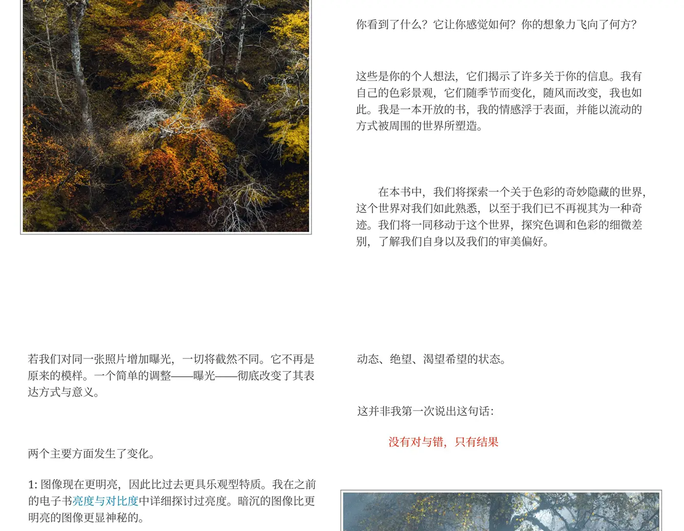 图片[6]-Alister Benn 了解风景摄影中意义的色彩电子书-精翻中文教程