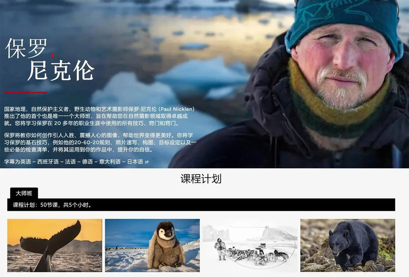 图片[3]-摄影大师Paul Nicklen自然与野生动物摄影完整课程-独家精翻中英字幕