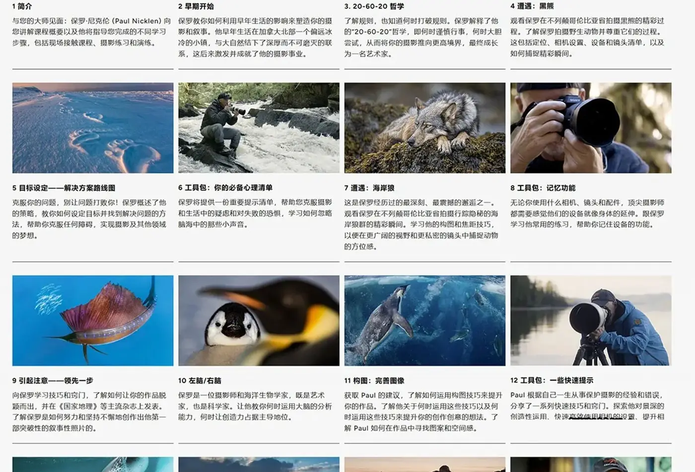 图片[4]-摄影大师Paul Nicklen自然与野生动物摄影完整课程-独家精翻中英字幕