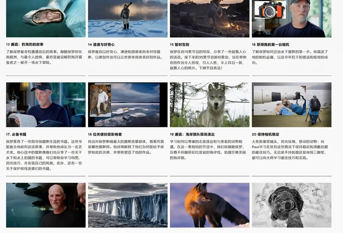 图片[5]-摄影大师Paul Nicklen自然与野生动物摄影完整课程-独家精翻中英字幕