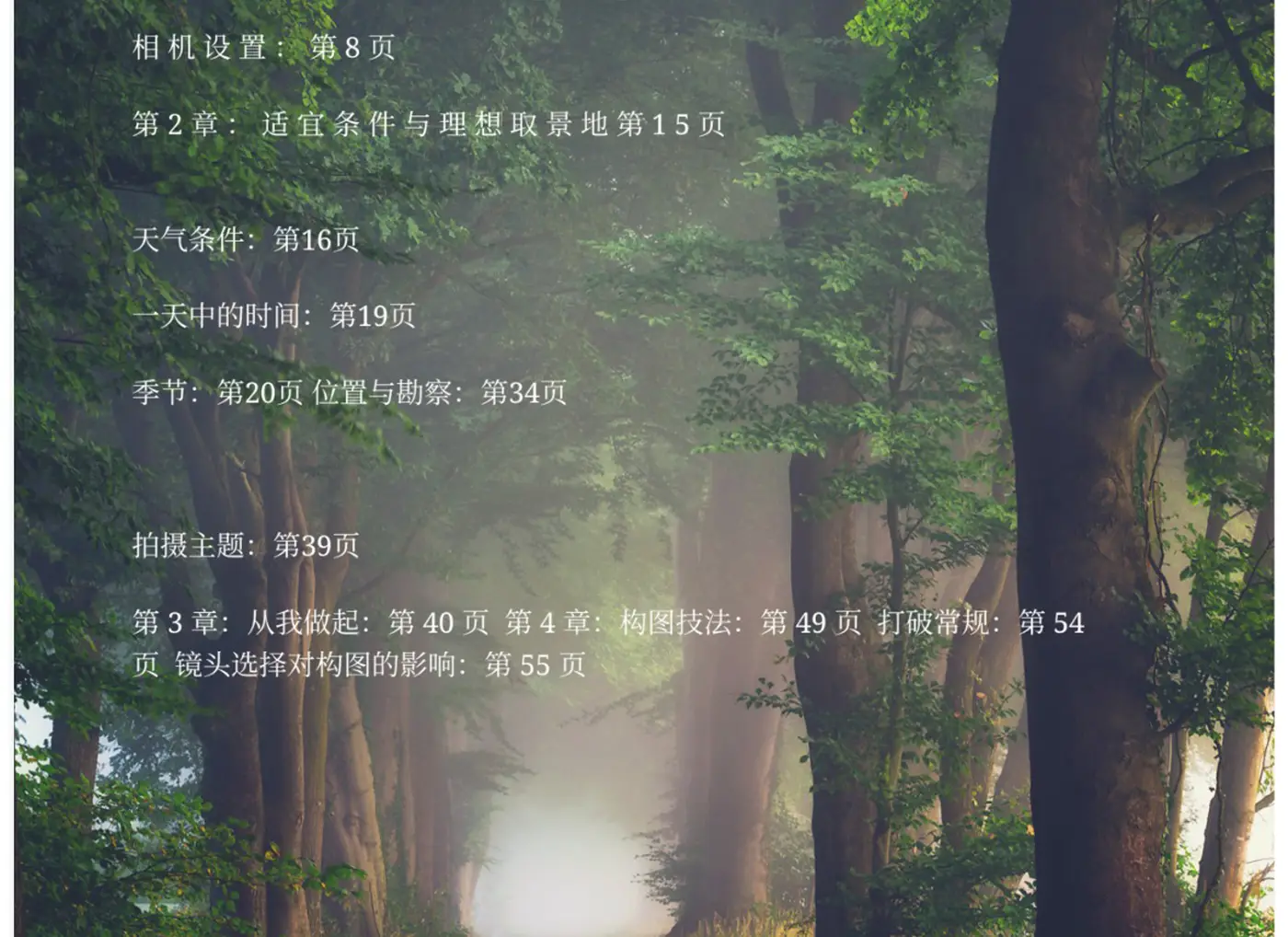 图片[5]-Ellen Borggreve – 森林摄影的魔力电子书-独家精翻PDF中文教程