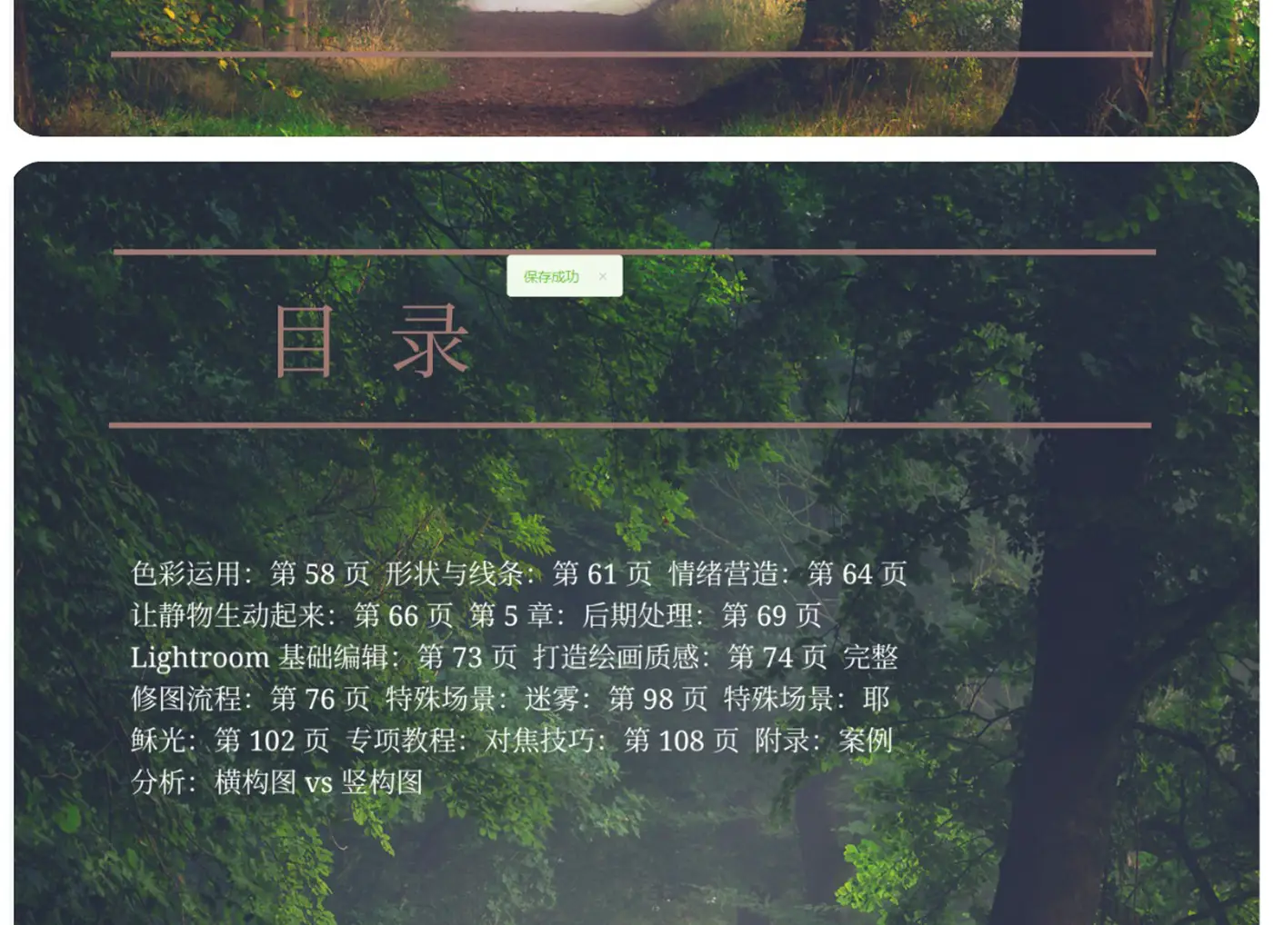图片[6]-Ellen Borggreve – 森林摄影的魔力电子书-独家精翻PDF中文教程