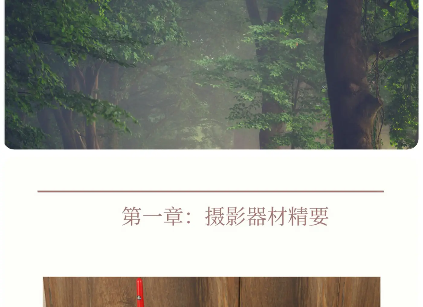 图片[7]-Ellen Borggreve – 森林摄影的魔力电子书-独家精翻PDF中文教程