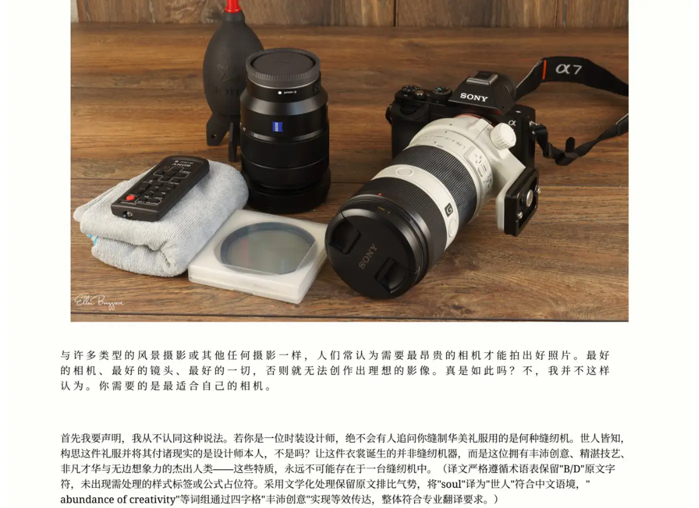 图片[8]-Ellen Borggreve – 森林摄影的魔力电子书-独家精翻PDF中文教程