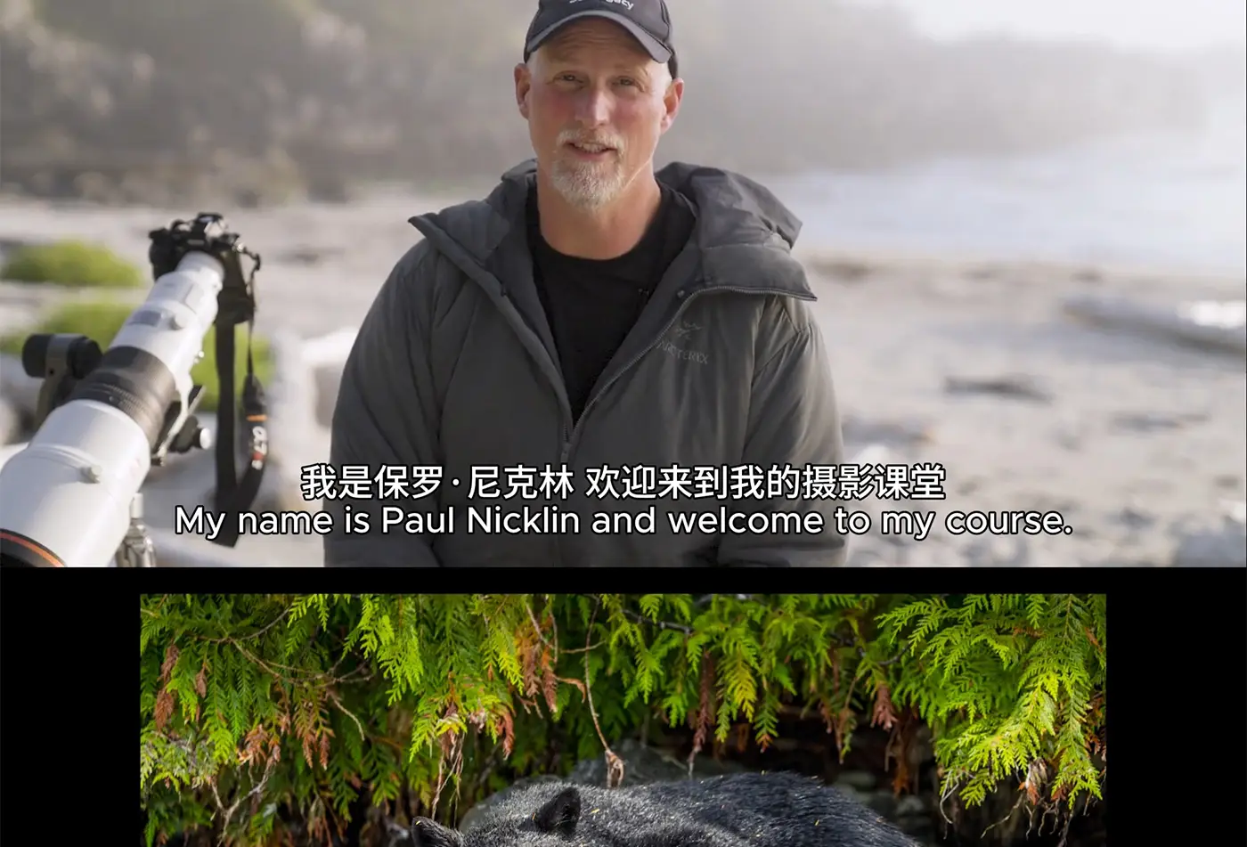 图片[9]-摄影大师Paul Nicklen自然与野生动物摄影完整课程-独家精翻中英字幕