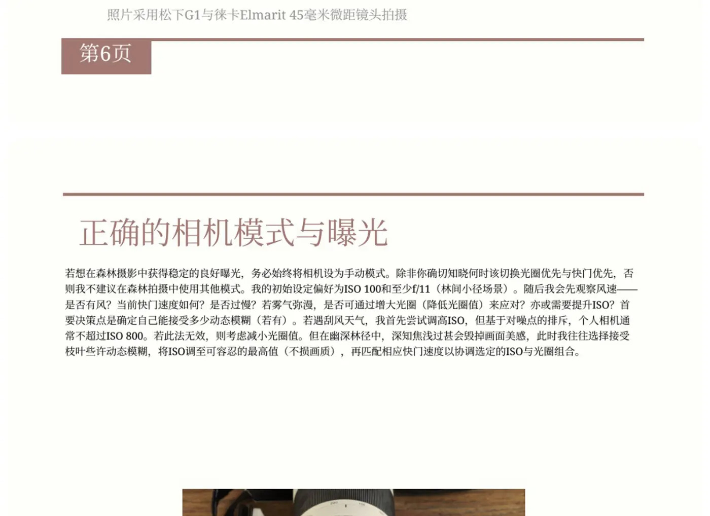 图片[15]-Ellen Borggreve – 森林摄影的魔力电子书-独家精翻PDF中文教程