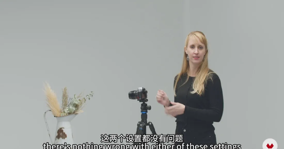 图片[10]-摄影入门教程：掌握相机的基本使用和理论要点教程-中英字幕