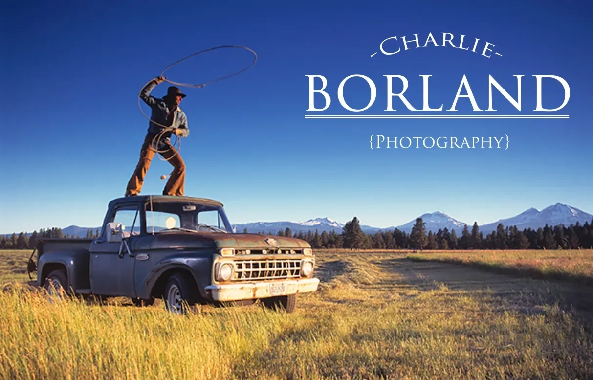Charlie Borland 自由摄影终极指南-即可成为大师级摄影师-中英字幕-美夕摄影