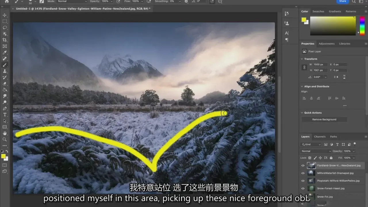 图片[11]-摄影师William Patino风光摄影构图掌握完整指南-独家精翻中英字幕