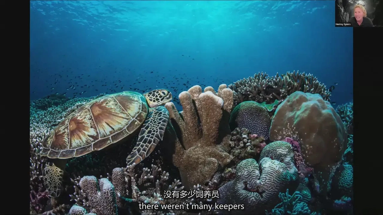 图片[13]-摄影师 Henley Spiers 水下摄影之旅-水下野生动物摄影-中英字幕