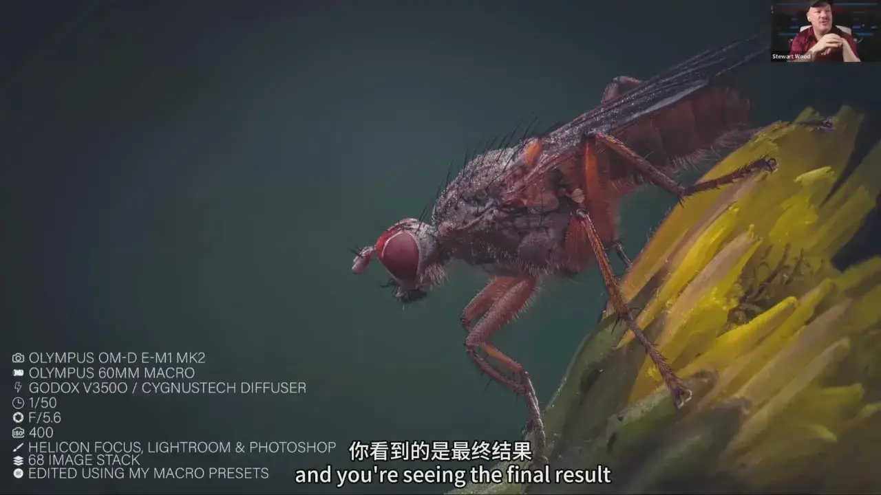 图片[2]-摄影师 Stewart Wood 捕捉昆虫微距摄影之旅教程-中英字幕