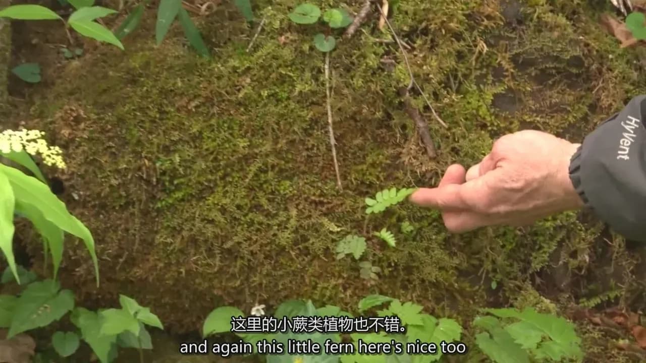 图片[2]-Adam Jones 掌握微距摄影对焦光线构图自然摄影完整教程-中英字幕