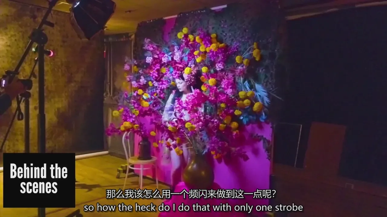 图片[3]-弗兰克·多尔霍夫Frank Doorhof《我是怎么拍的,孕期特辑》中英字幕
