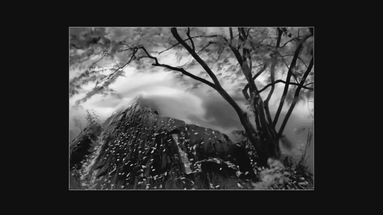 图片[3]-摄影师 Cole Thompson 专注于黑白摄影的深刻艺术的理由-中英字幕