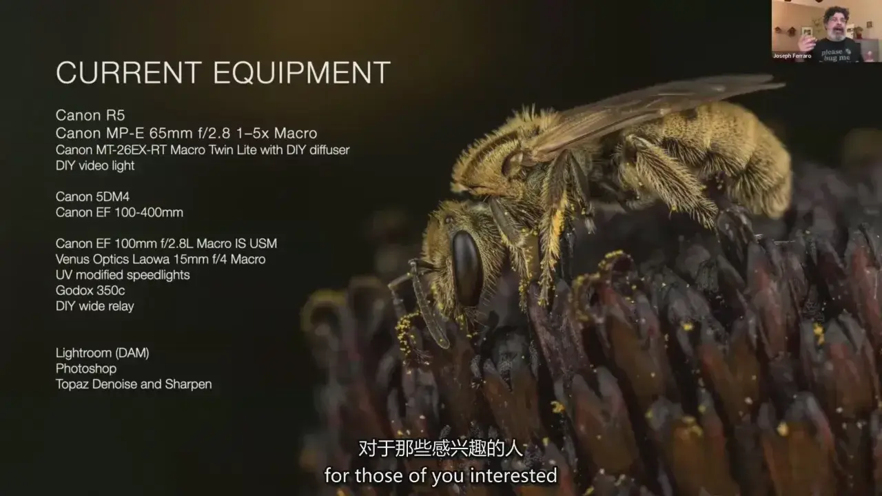 图片[3]-摄影师 Joseph Ferraro 宏观昆虫微距摄影完整指南教程-中英字幕