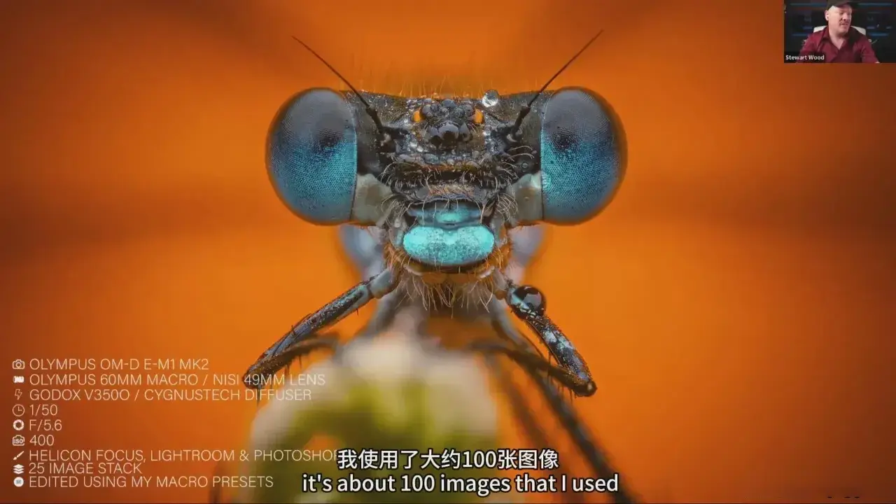 图片[3]-摄影师 Stewart Wood 捕捉昆虫微距摄影之旅教程-中英字幕