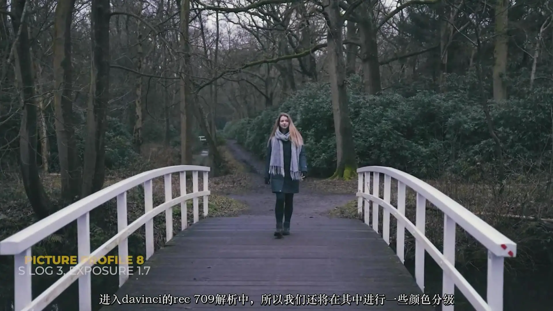 图片[4]-索尼SONY A7S III最佳拍摄视频和照片设置深入指南-中文字幕
