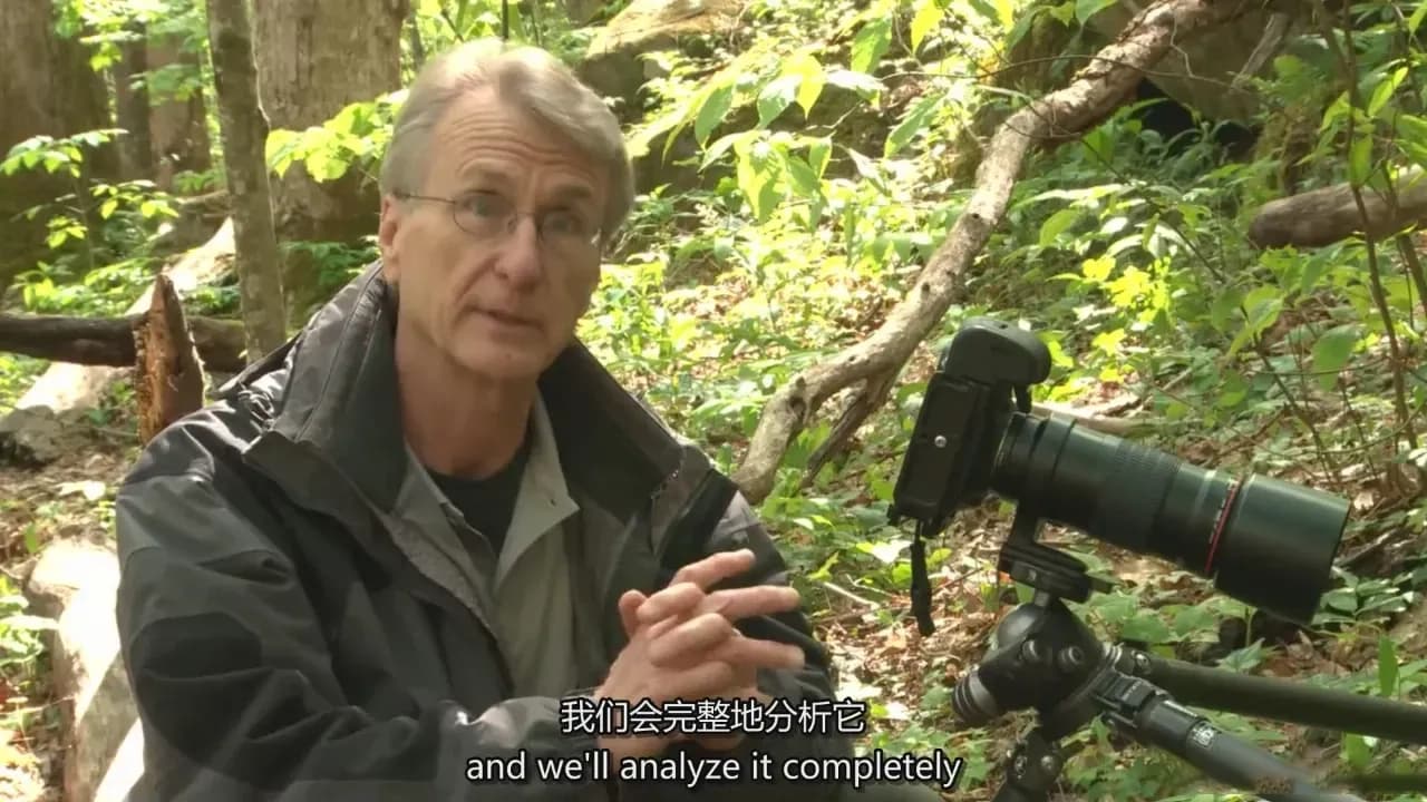 图片[3]-Adam Jones 掌握微距摄影对焦光线构图自然摄影完整教程-中英字幕