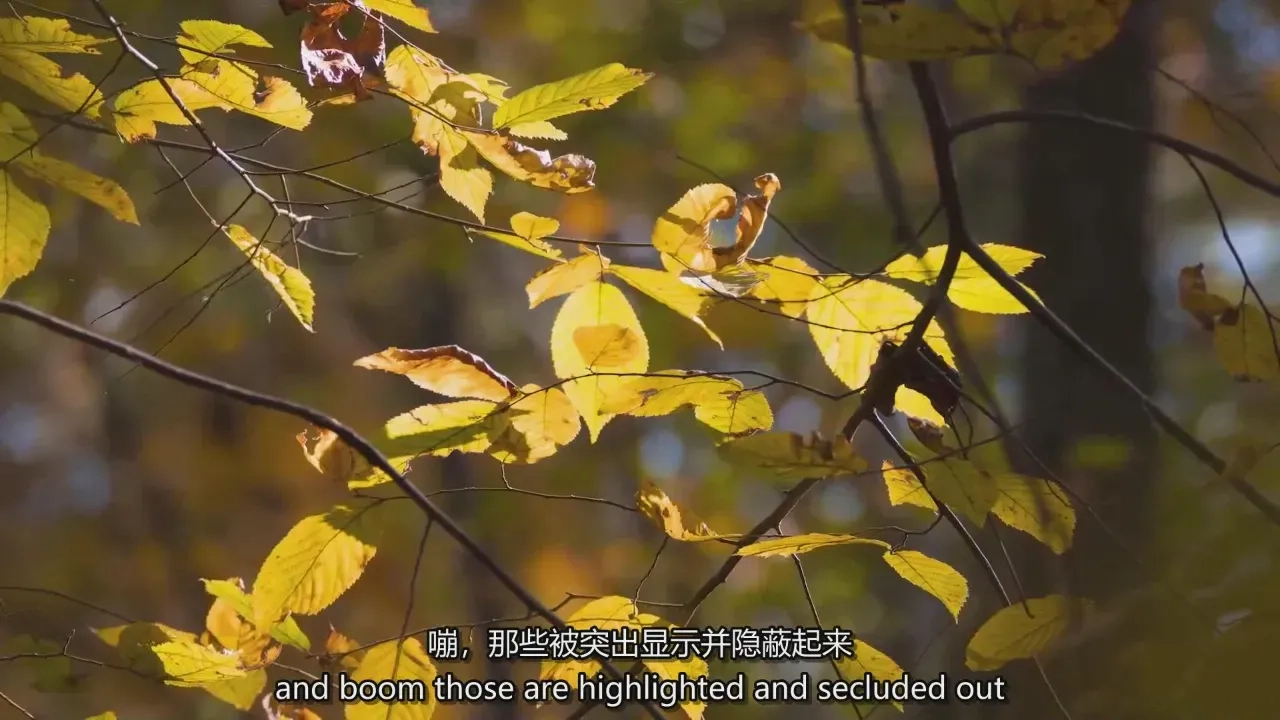 图片[5]-风光摄影师David Johnston长焦广角风景摄影完整教程-中英字幕
