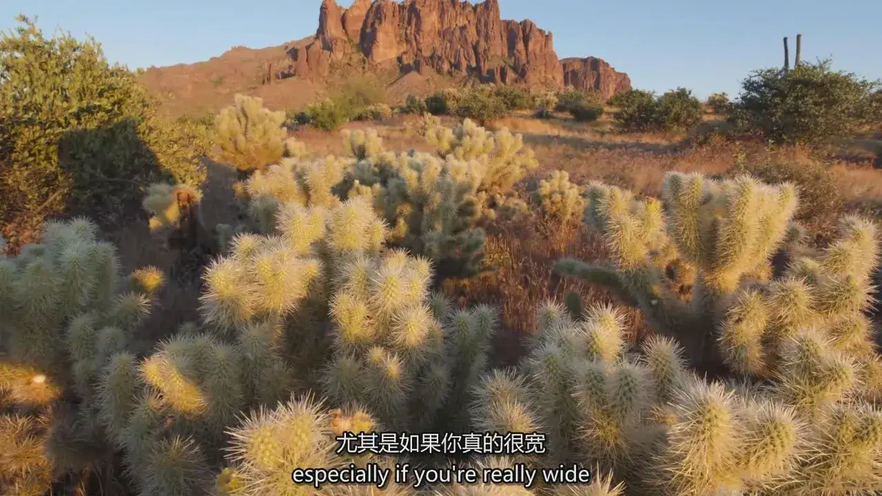 图片[5]-风光摄影师John Weatherby 专业风光摄影级后期在线教程-中英字幕