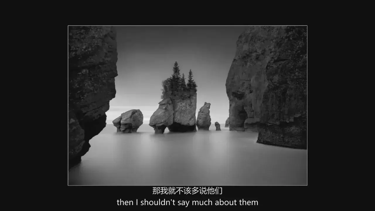 图片[5]-摄影师 Cole Thompson 专注于黑白摄影的深刻艺术的理由-中英字幕