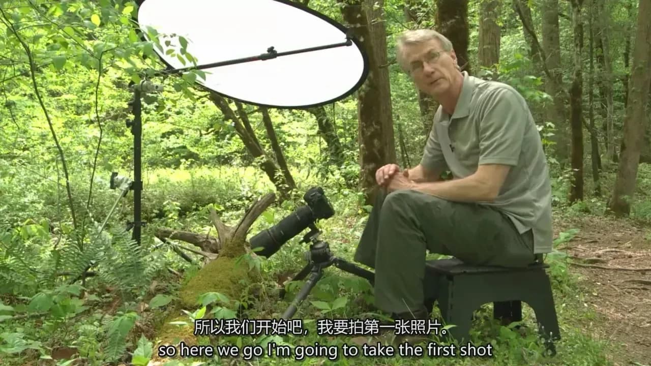 图片[5]-Adam Jones 掌握微距摄影对焦光线构图自然摄影完整教程-中英字幕