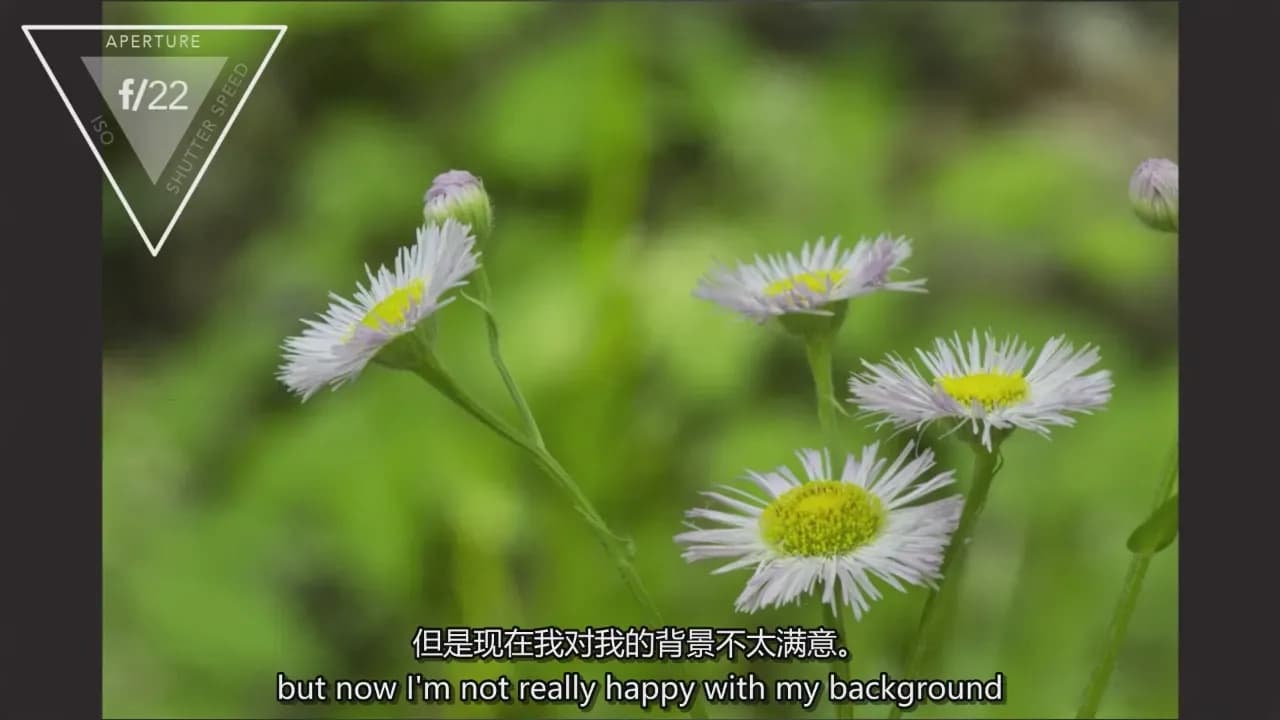 图片[6]-Adam Jones 掌握微距摄影对焦光线构图自然摄影完整教程-中英字幕
