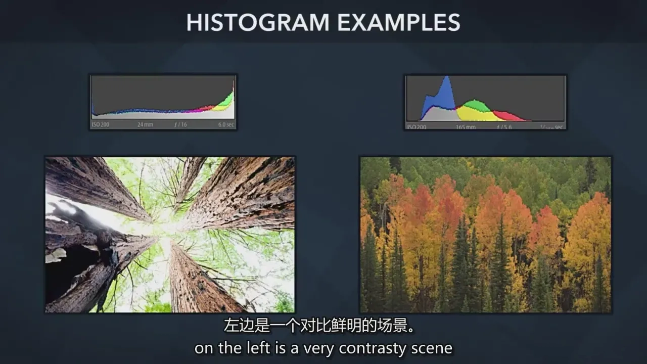 图片[7]-风光摄影师 Marc Muench 户外风光摄影完整指南教程-中英字幕