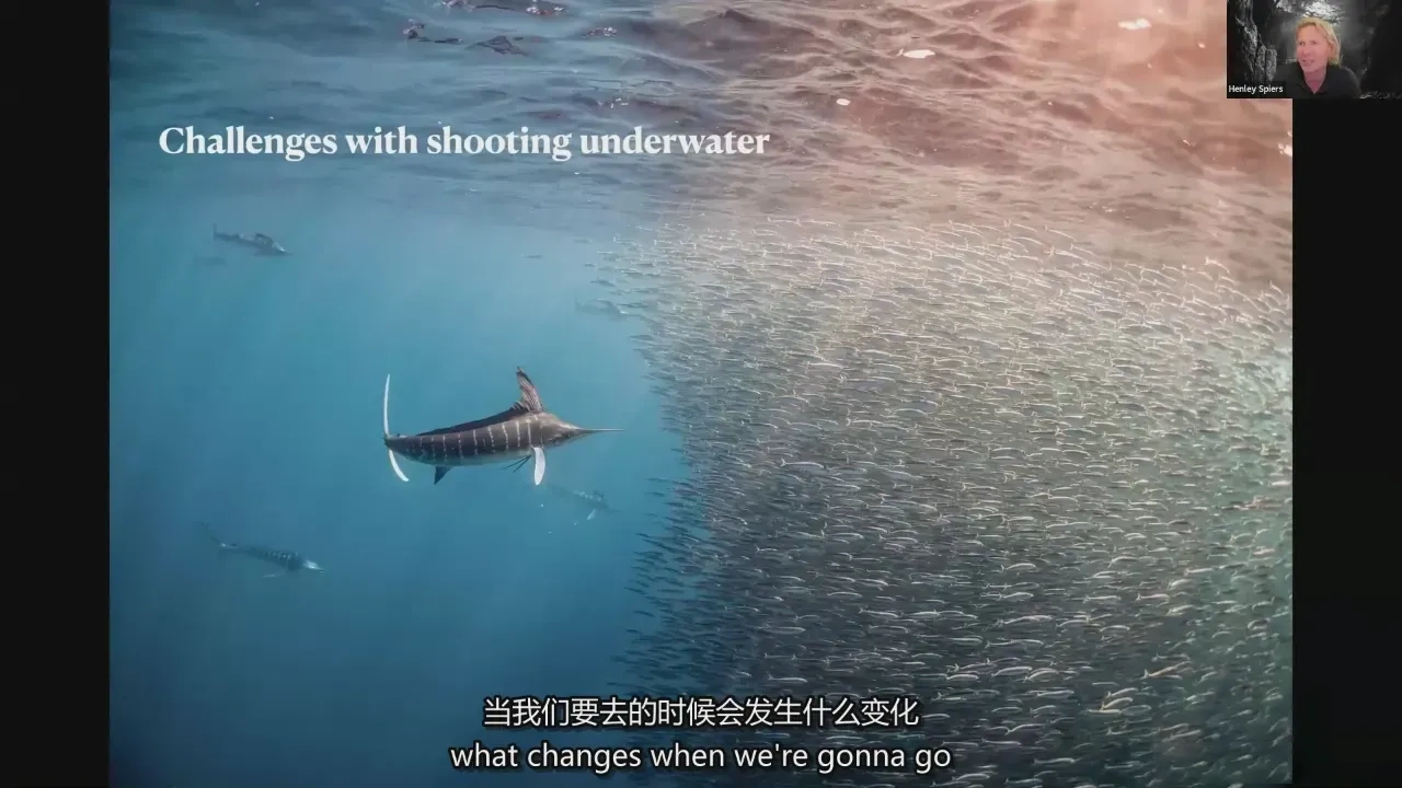 图片[7]-摄影师 Henley Spiers 水下摄影之旅-水下野生动物摄影-中英字幕
