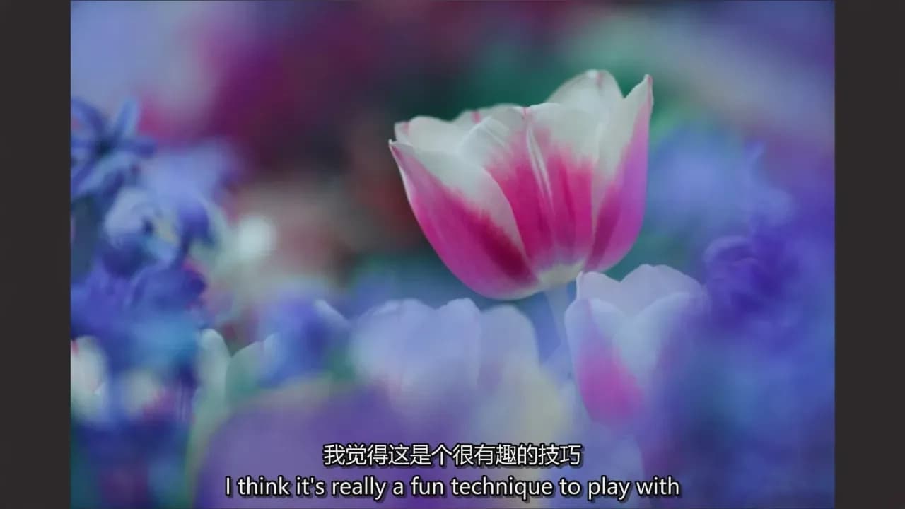 图片[7]-Adam Jones 掌握微距摄影对焦光线构图自然摄影完整教程-中英字幕