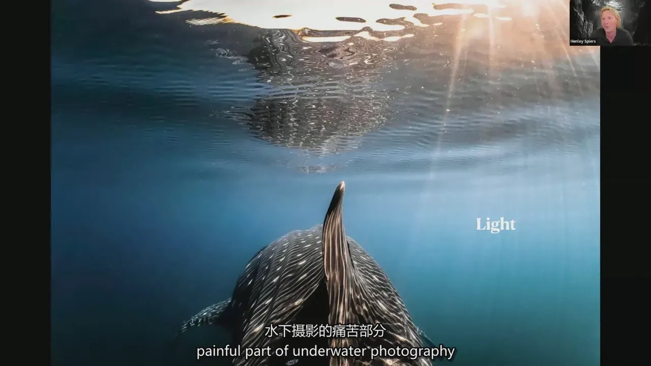 图片[8]-摄影师 Henley Spiers 水下摄影之旅-水下野生动物摄影-中英字幕