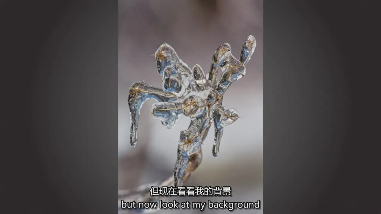 图片[8]-Adam Jones 掌握微距摄影对焦光线构图自然摄影完整教程-中英字幕