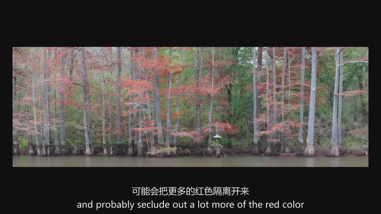 图片[9]-风光摄影师David Johnston长焦广角风景摄影完整教程-中英字幕