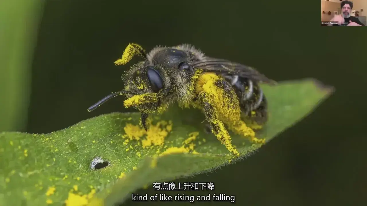 图片[9]-摄影师 Joseph Ferraro 宏观昆虫微距摄影完整指南教程-中英字幕