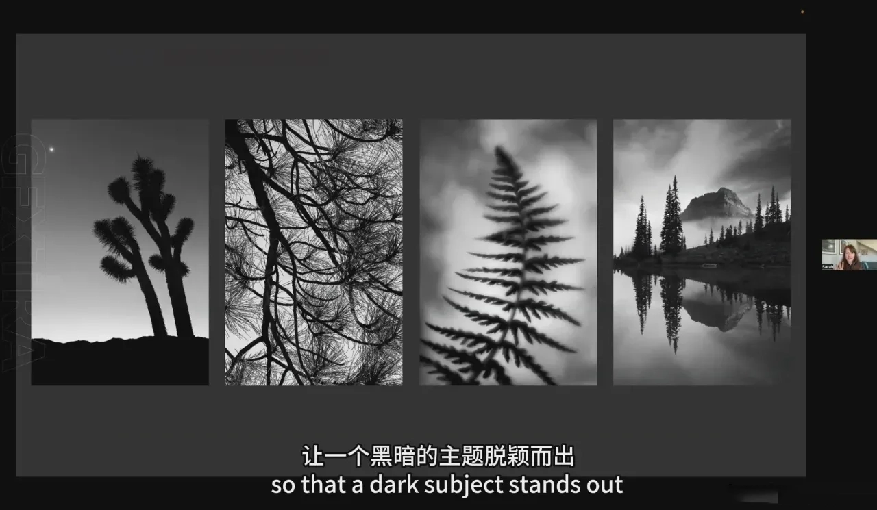 图片[9]-摄影师 Sarah Marino 大胆诠释黑白自然风光摄影教程-中英字幕