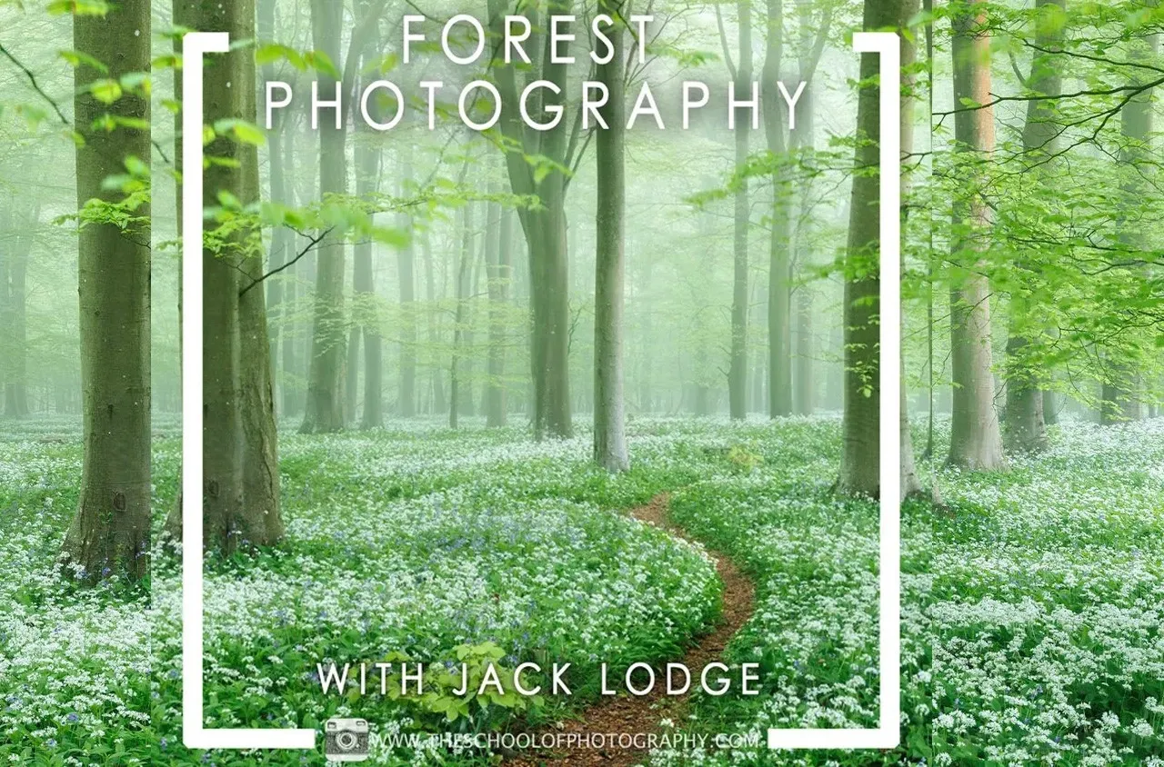 摄影师Jack Lodge森林林地摄影构图及后期修图完整教程-中英字幕-美夕摄影