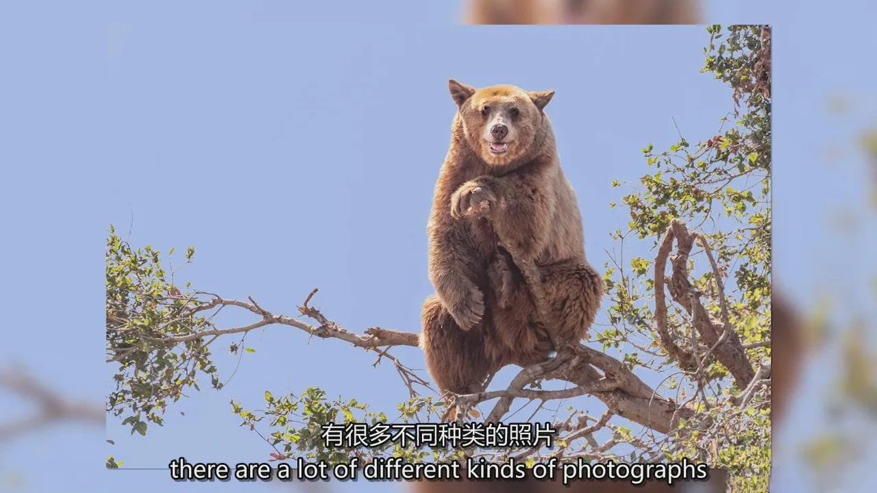 图片[5]-KelbyOne - 动物园爬行动物摄影及鸟类的摄影艺术教程-中英字幕
