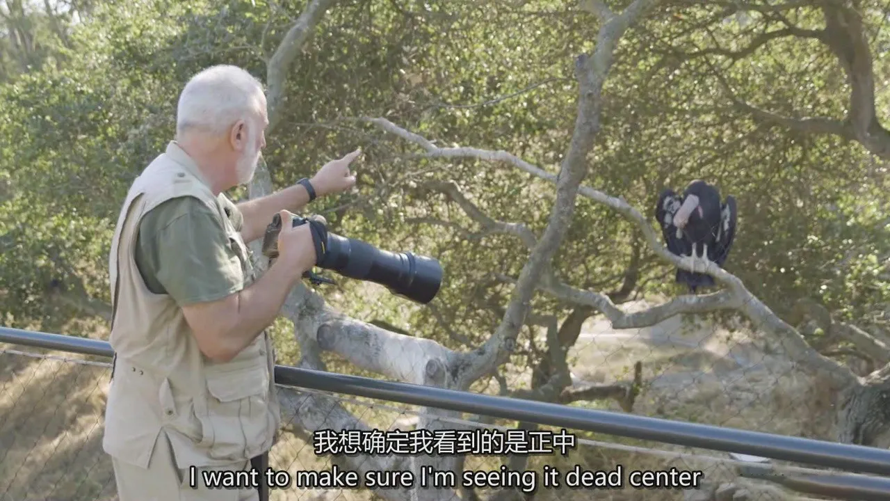 图片[8]-KelbyOne - 动物园爬行动物摄影及鸟类的摄影艺术教程-中英字幕