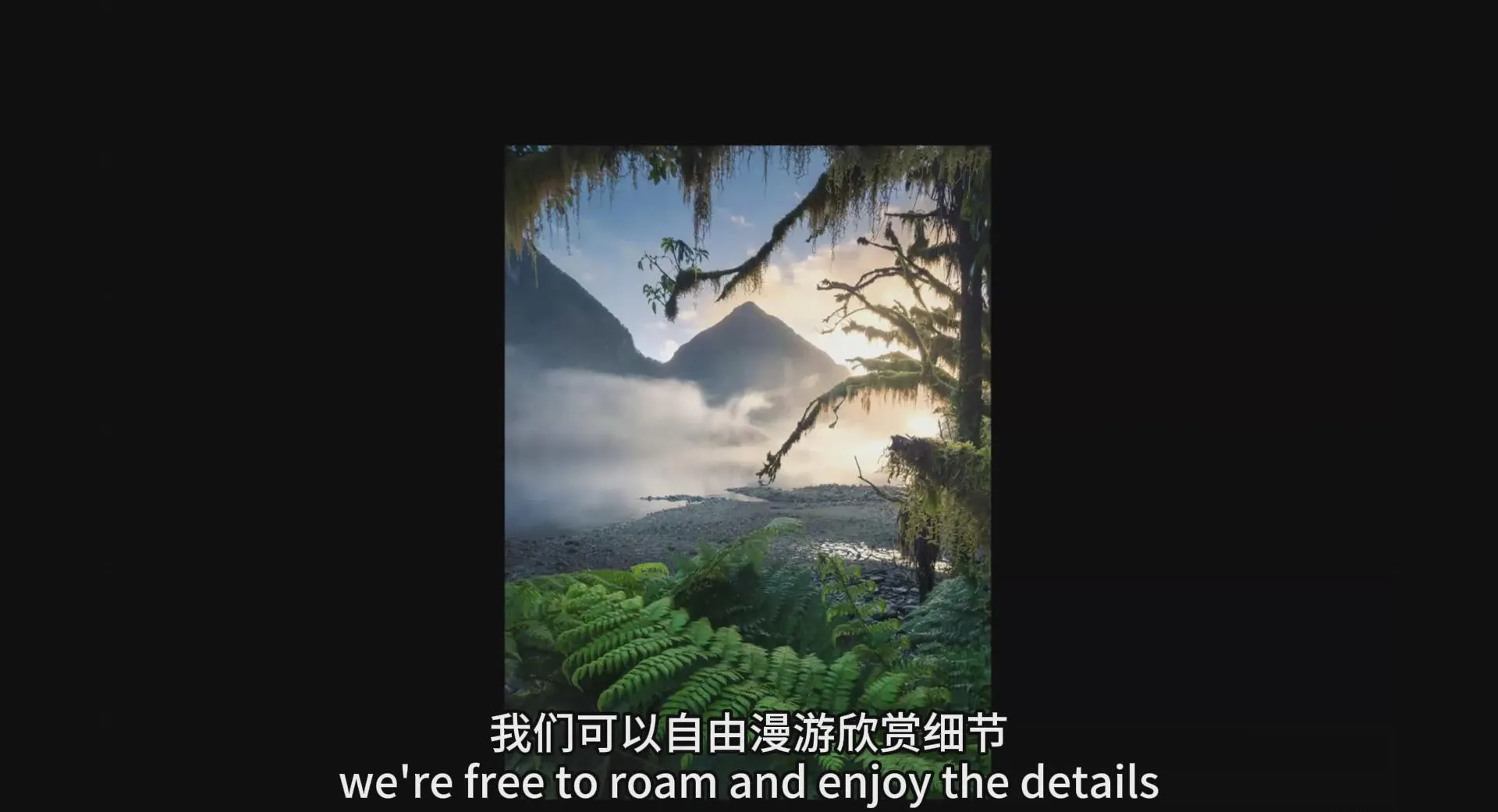 图片[2]-摄影师David Cobb风光摄影中的光.颜色.形式和表达教程-中英字幕