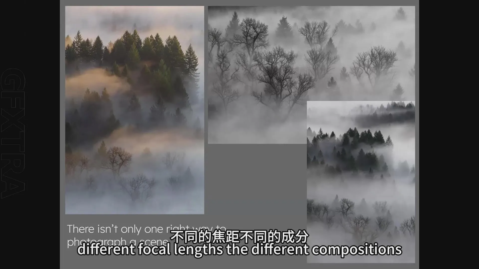 图片[3]-风光摄影师Adrian Klein森林风光摄影完整指南教程-中英字幕