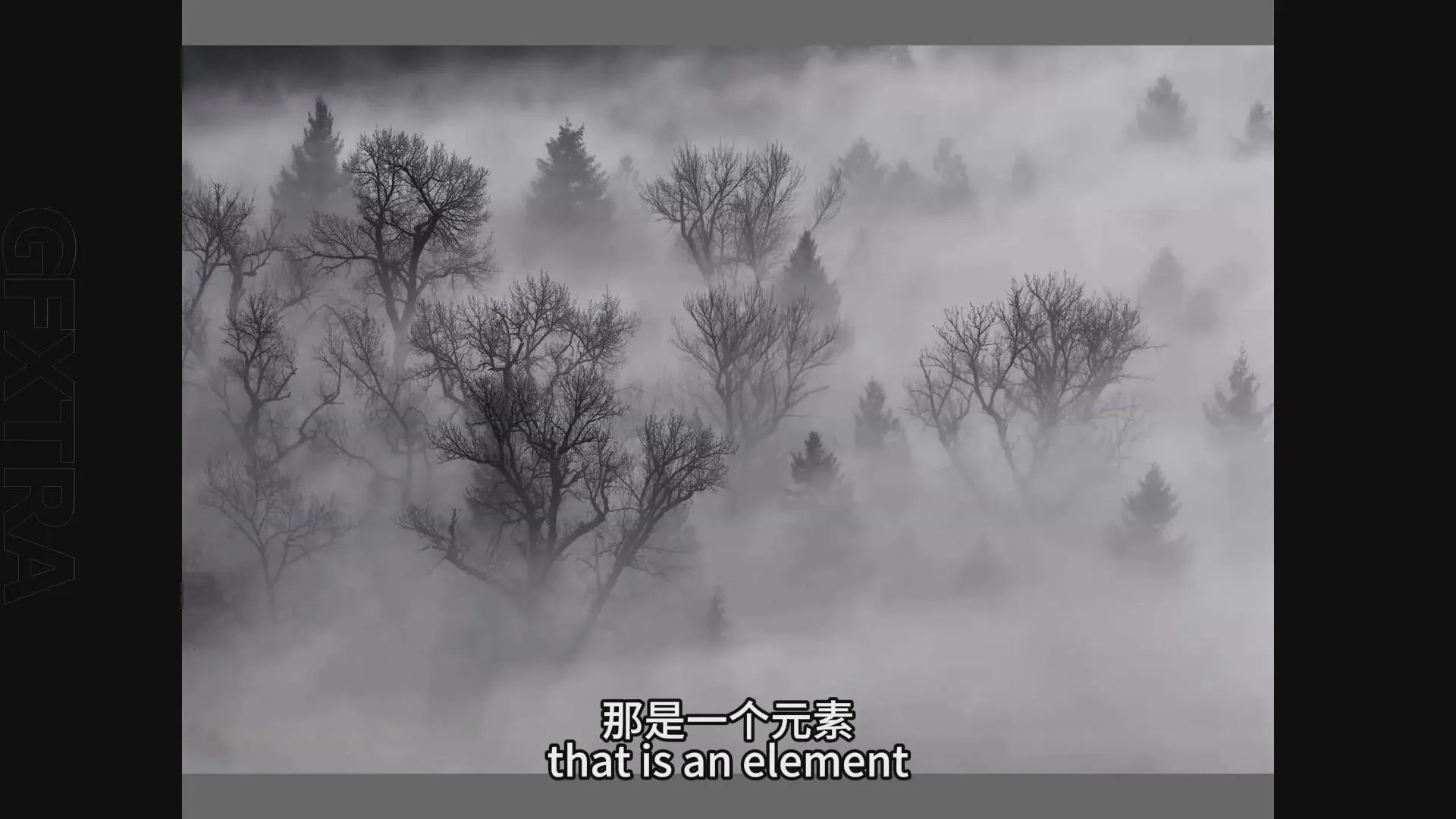 图片[9]-风光摄影师Adrian Klein森林风光摄影完整指南教程-中英字幕