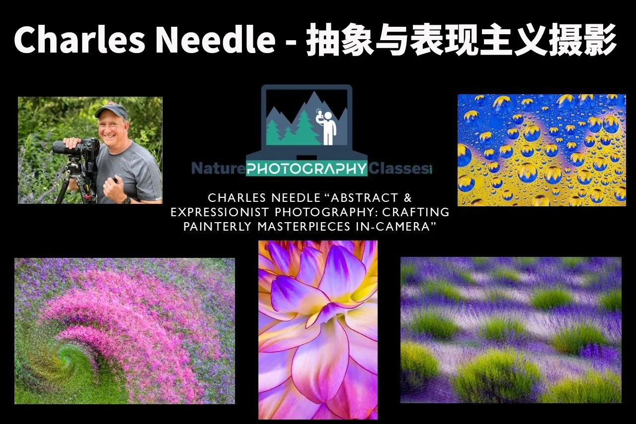 查尔斯·尼德尔(Charles Needle)抽象与表现主义摄影教程-中英字幕-美夕摄影
