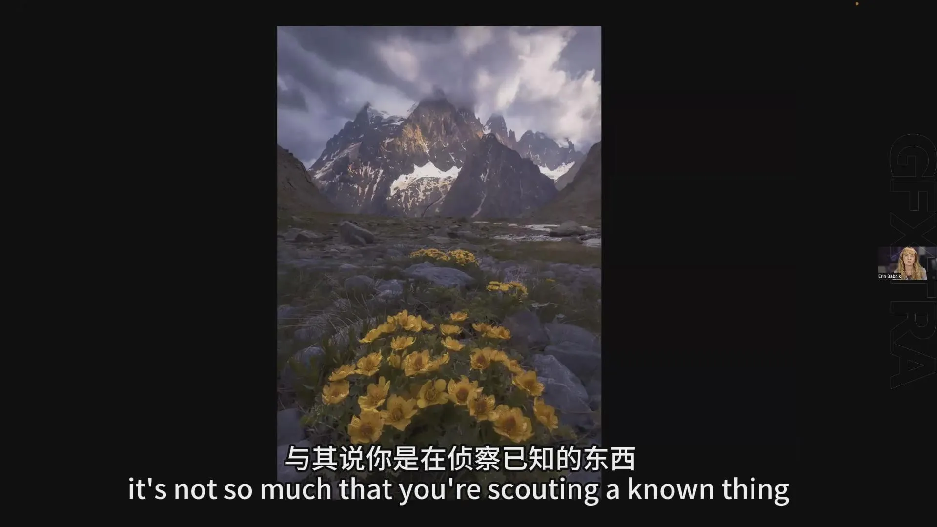 图片[4]-Erin Babnik-超越完美：平衡摄影中的艺术性和技巧教程-中英字幕