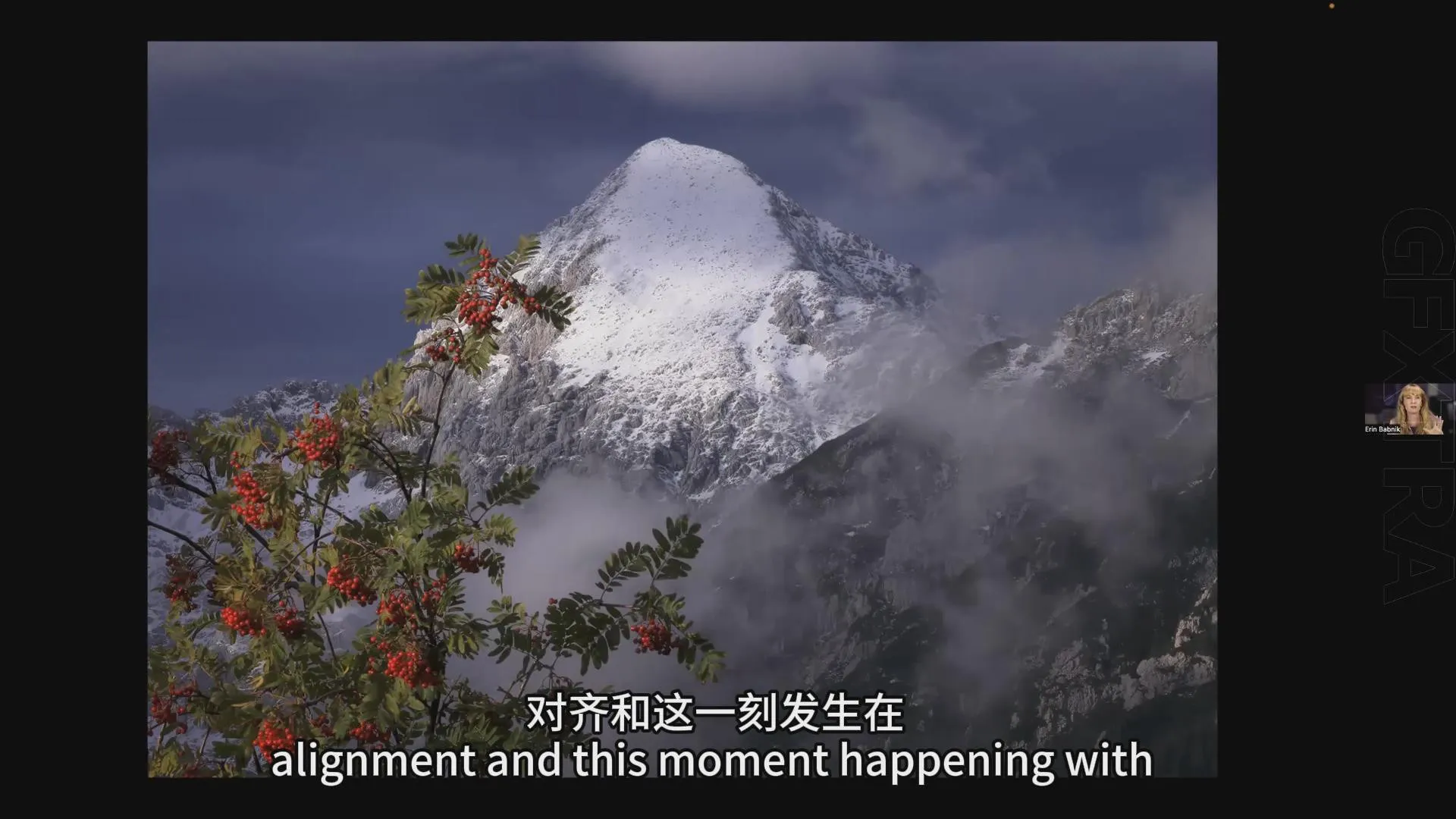 图片[5]-Erin Babnik-超越完美：平衡摄影中的艺术性和技巧教程-中英字幕
