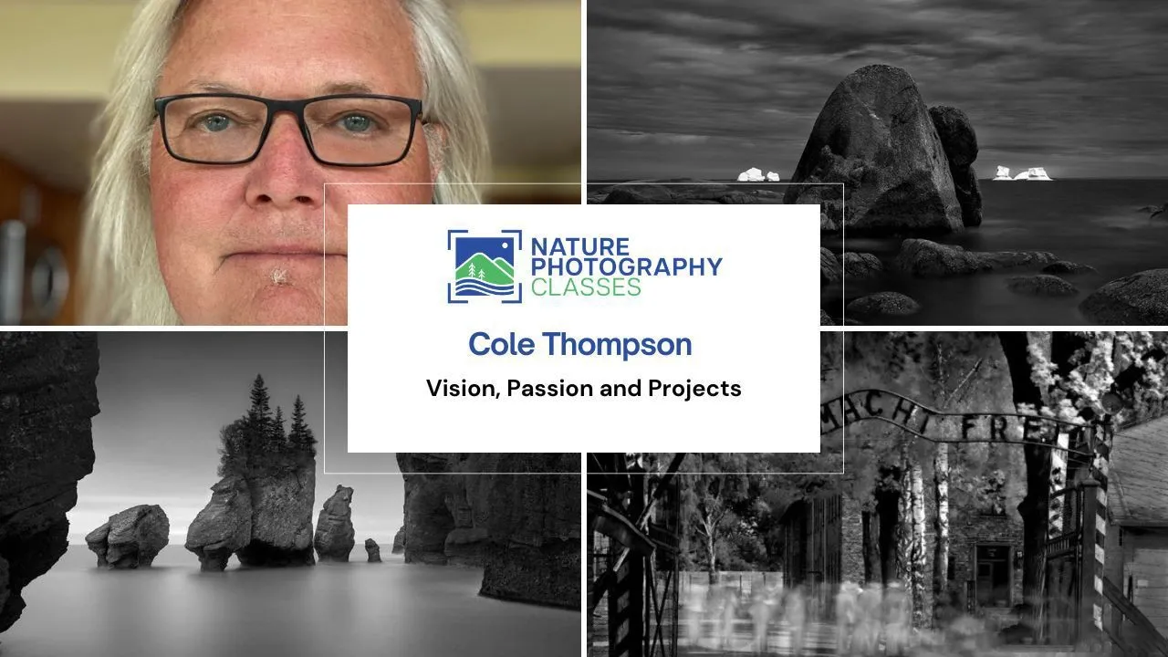 科尔·汤普森(Cole Thompson)黑白视觉艺术摄影教程-中英字幕-美夕摄影