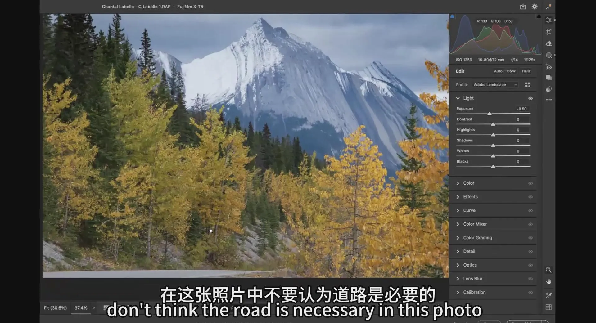 图片[5]-摄影师William Patino风景构图&深度和视觉的对比教程-中英字幕
