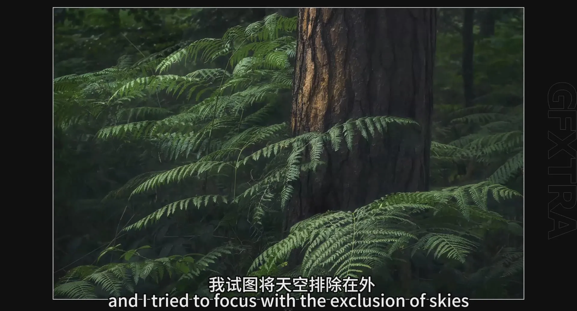 图片[5]-风光摄影师Kai Hornung开始你的创意风光摄影之旅教程-中英字幕