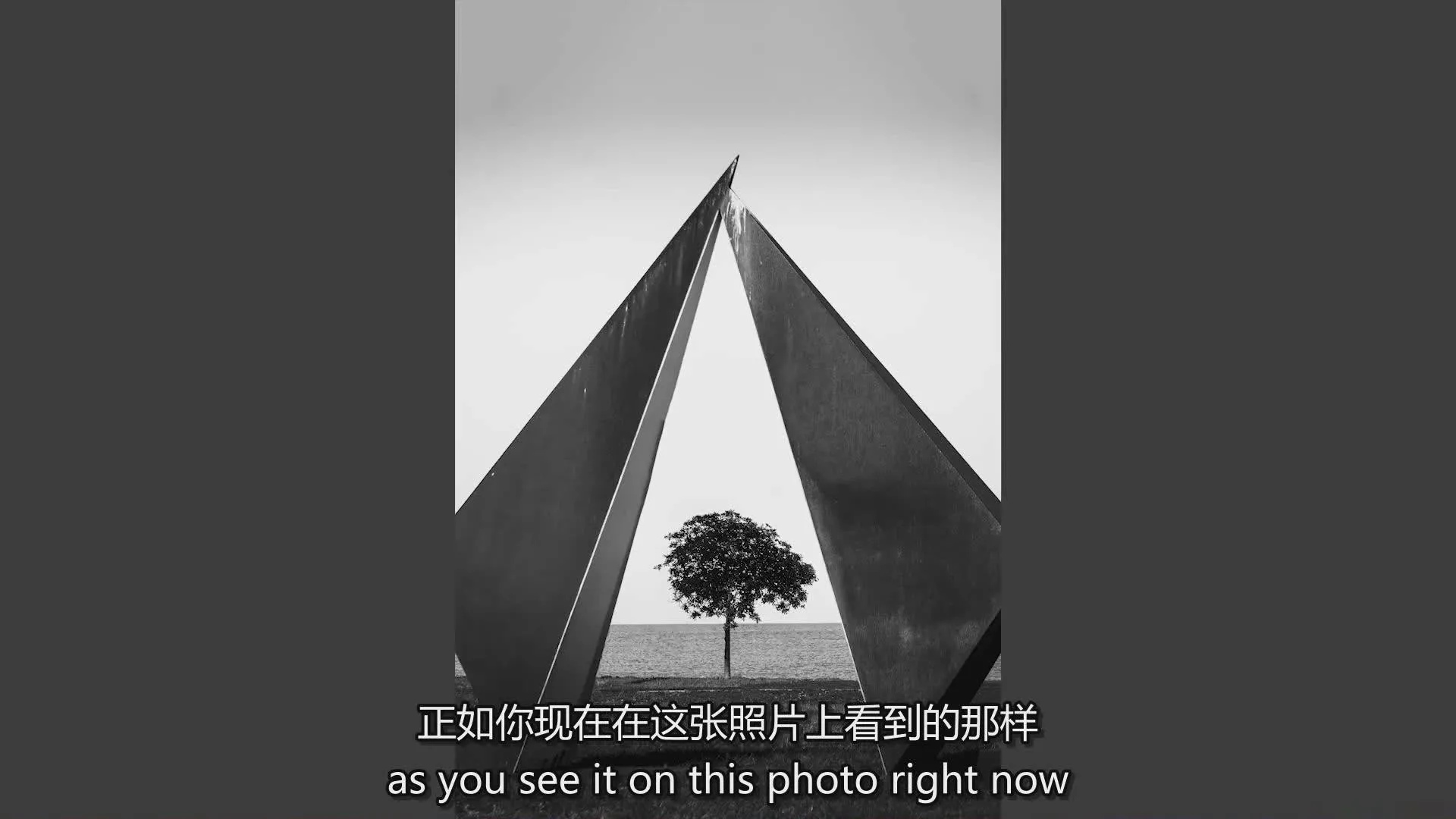 图片[3]-Mimo Meidany - 摄影构图终极技巧指南完整教程-中英字幕