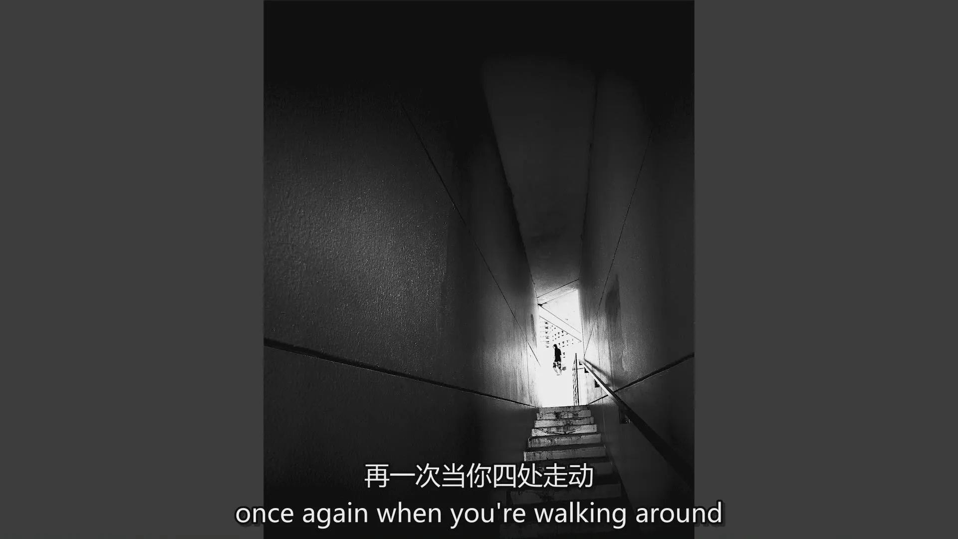 图片[20]-Mimo Meidany - 摄影构图终极技巧指南完整教程-中英字幕